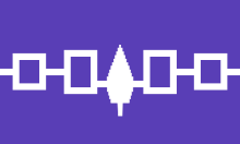 Six Nations/Iroquois Confederacy/ Haudenosaune Polyknit Flag