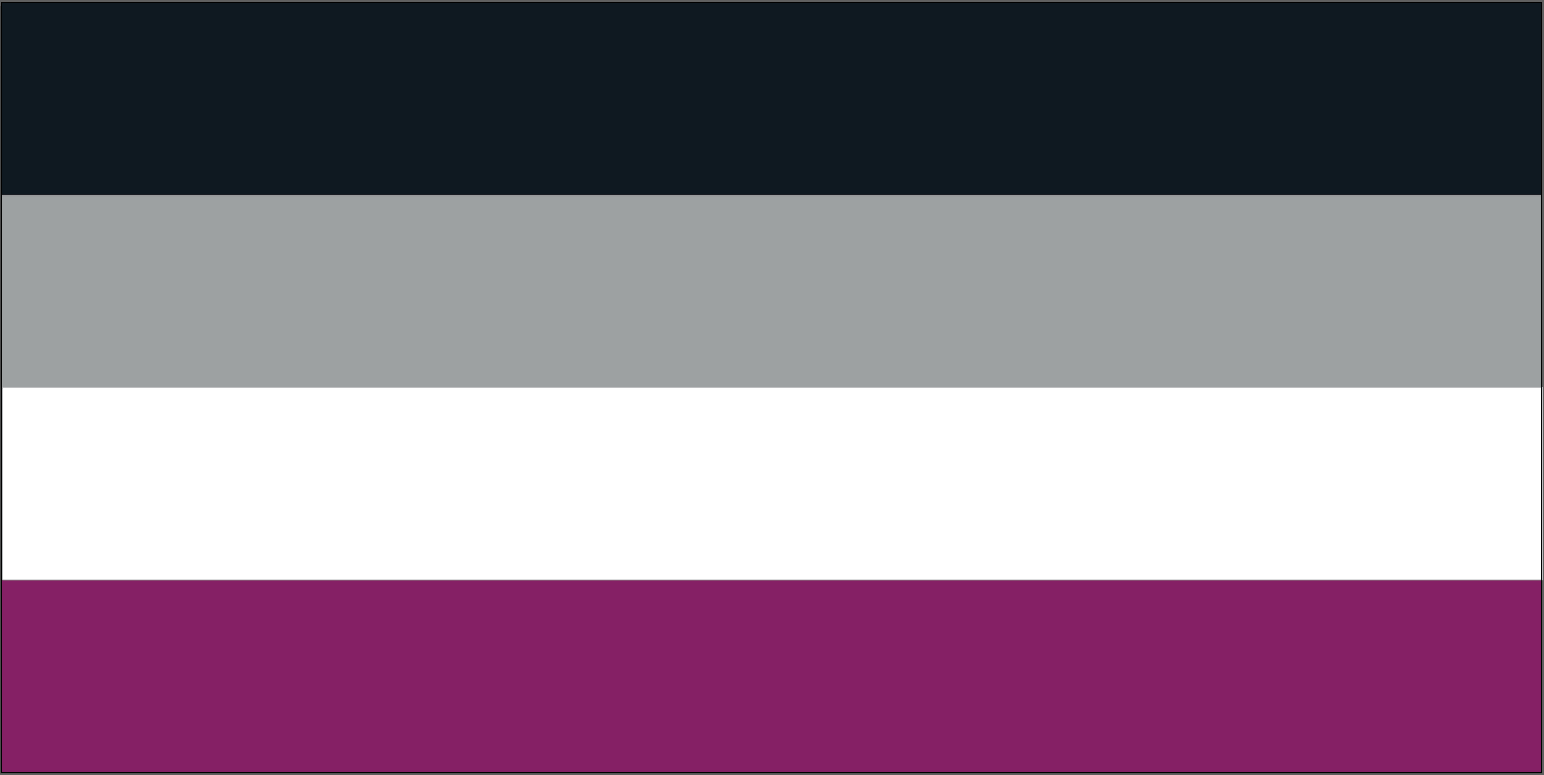 Asexual Pride Flag from FlagMart Canada