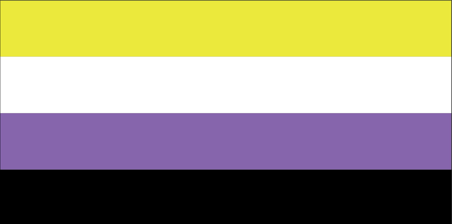 Nonbinary Pride Flag