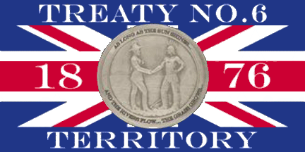 Treaty 6 Flag