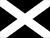 Black with White Cross Instruction Flag