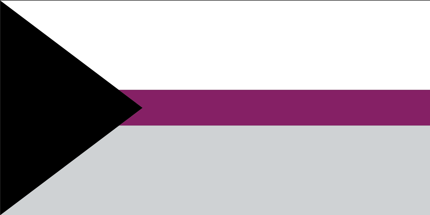 Demisexual Pride Flag from FlagMart Canada
