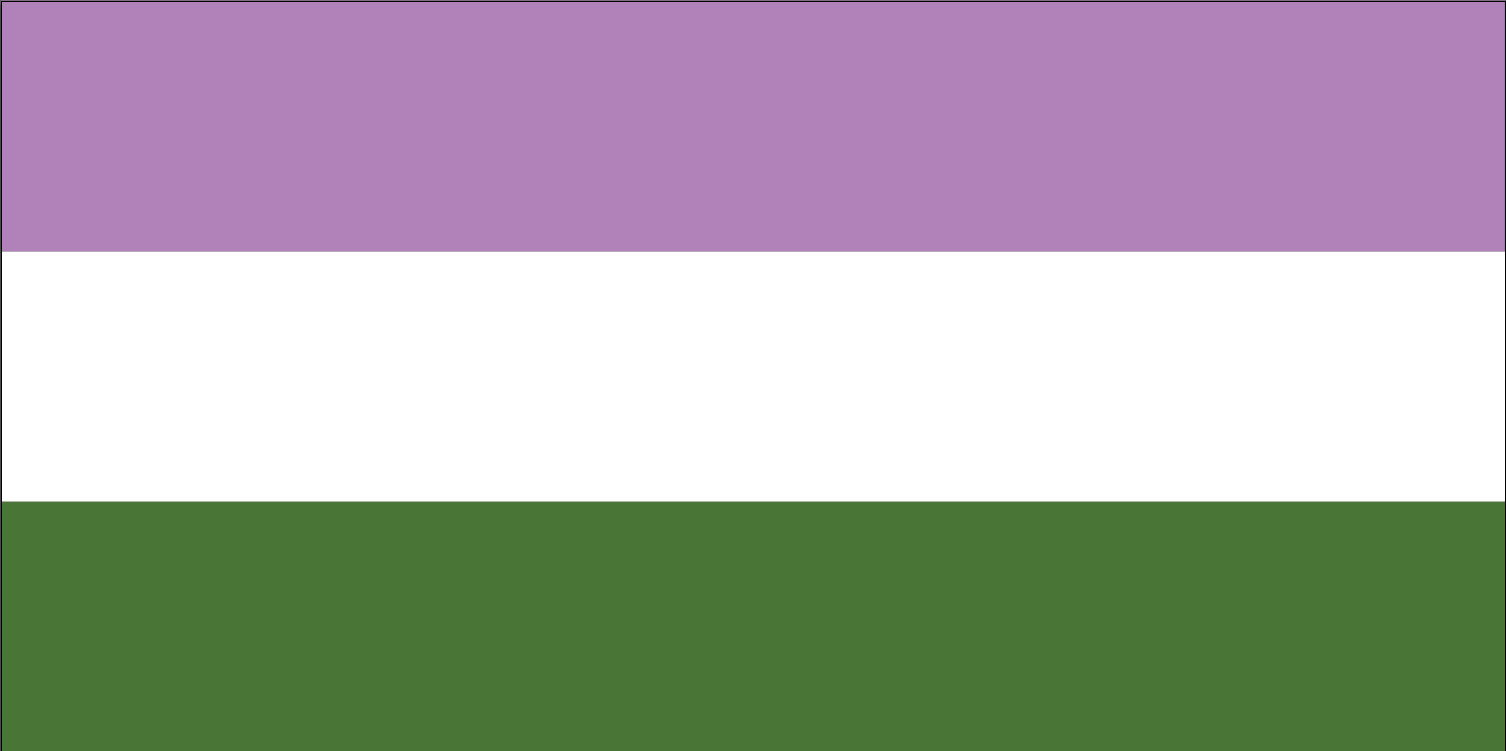 Genderqueer Pride Flag from FlagMart Canada