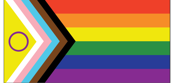 Buy Intersex Inclusive Pride Flags Here - FlagMart Canada