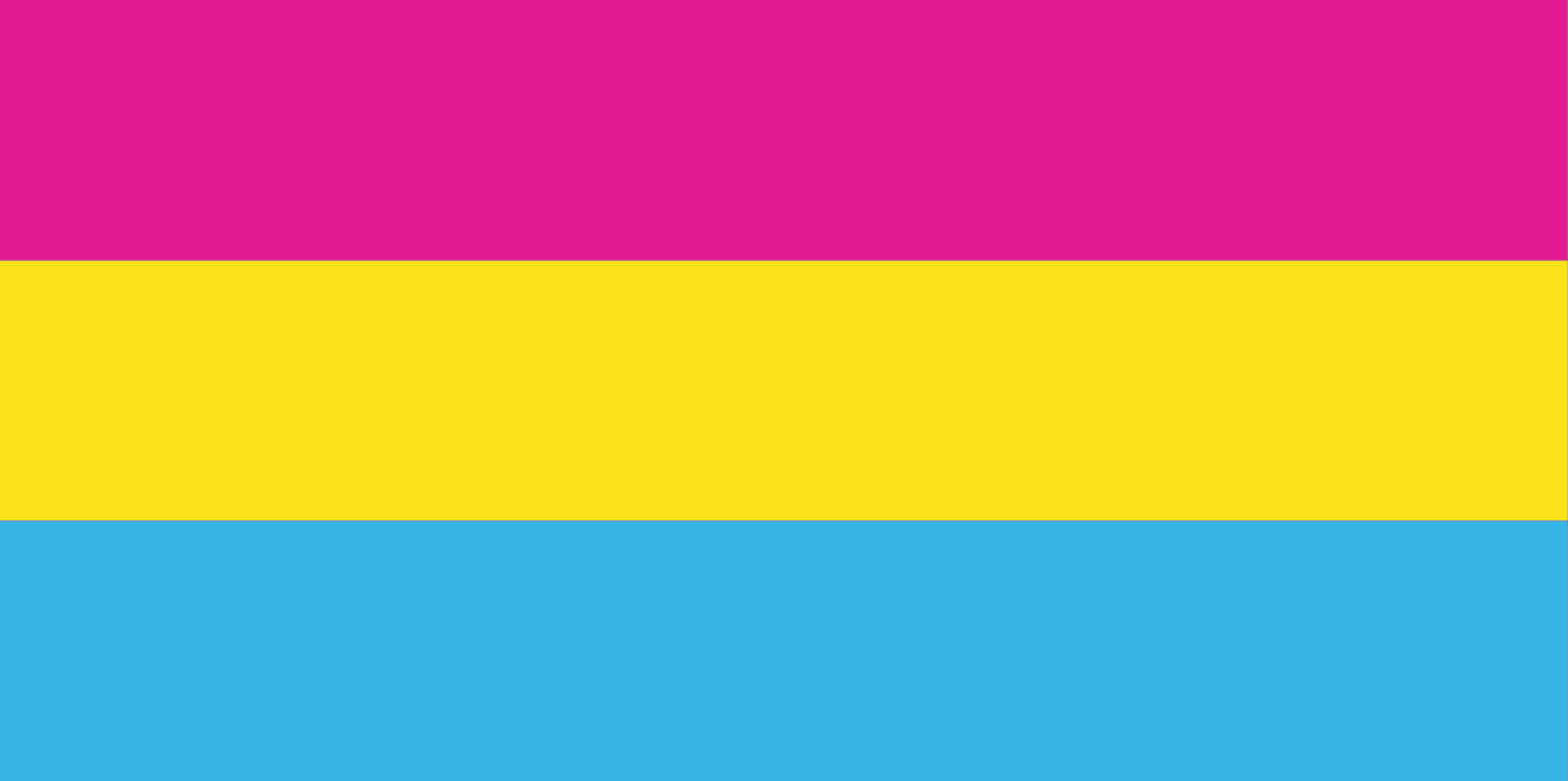 Pansexual Pride Flag from FlagMart Canada