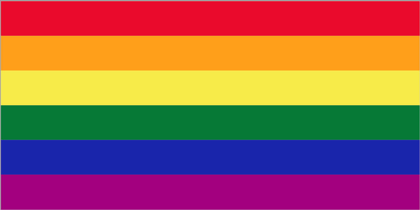 Rainbow Pride Flag from FlagMart Canada