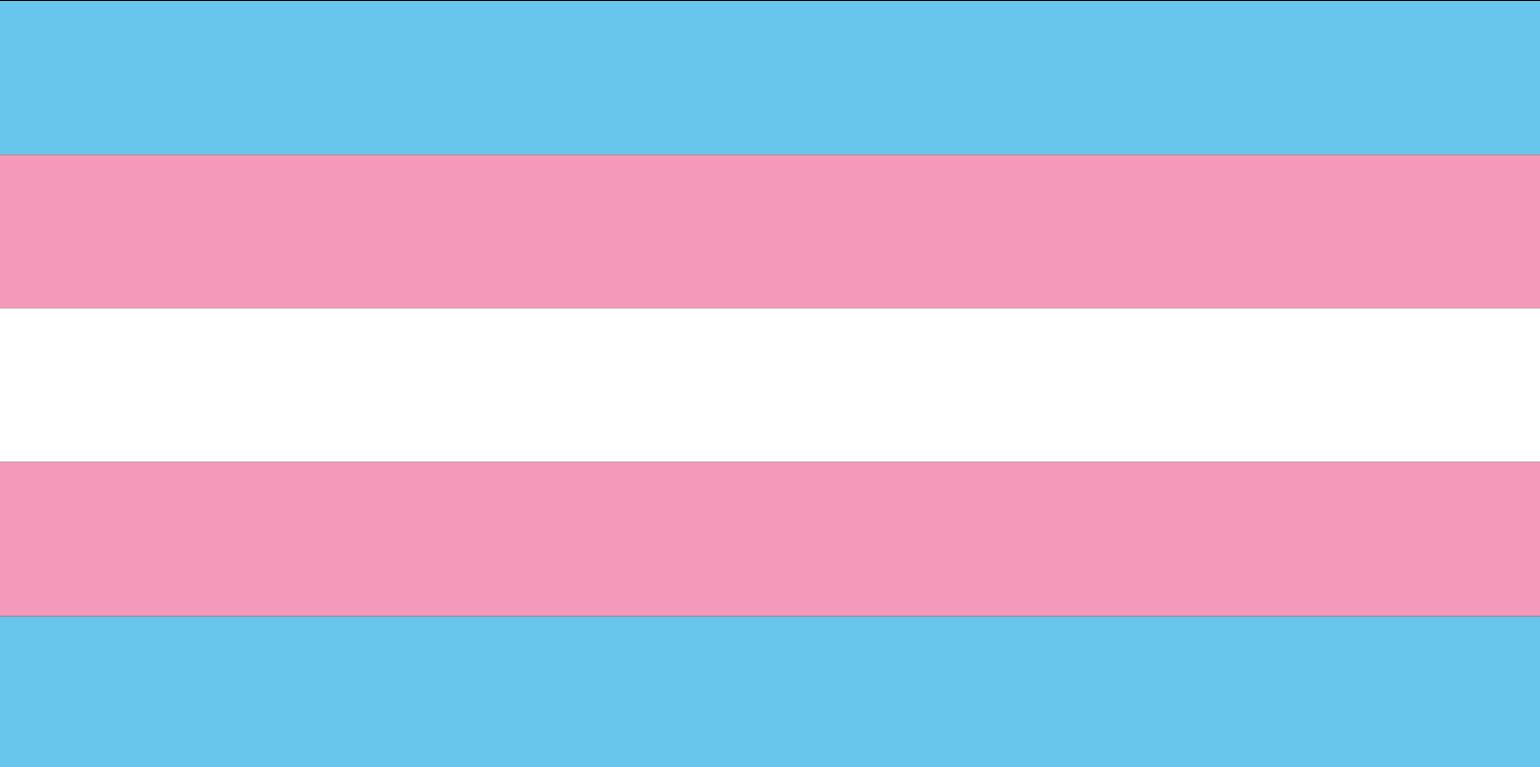 Transgender Pride Flag from FlagMart Canada